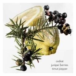 Hermès Hermes Terre Du0027Hermes Eau Givree Eau De Parfum 4 Hermès Hermes Terre Du0027Hermes Eau Givree Eau De Parfum -Cosmetica Winkel 1046702 3